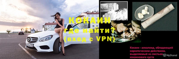 гашик Сатка