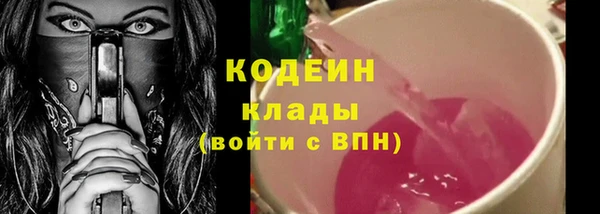 гашик Сатка