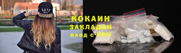 гашик Сатка